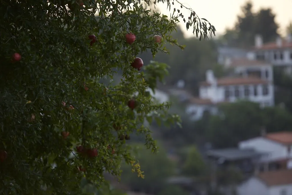Nisanyan Hotel Selcuk