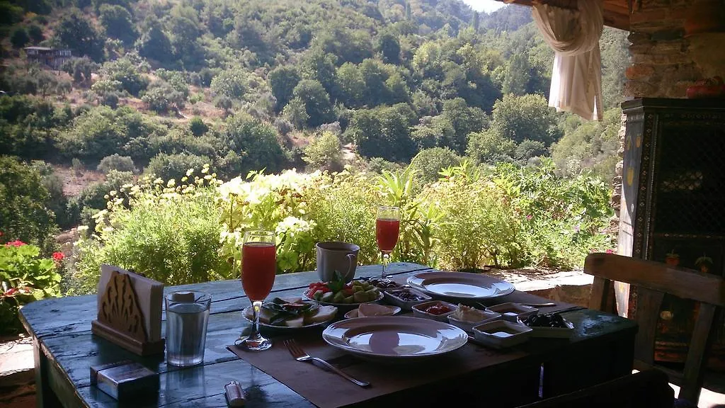 Nisanyan Hotel Selcuk 3*,