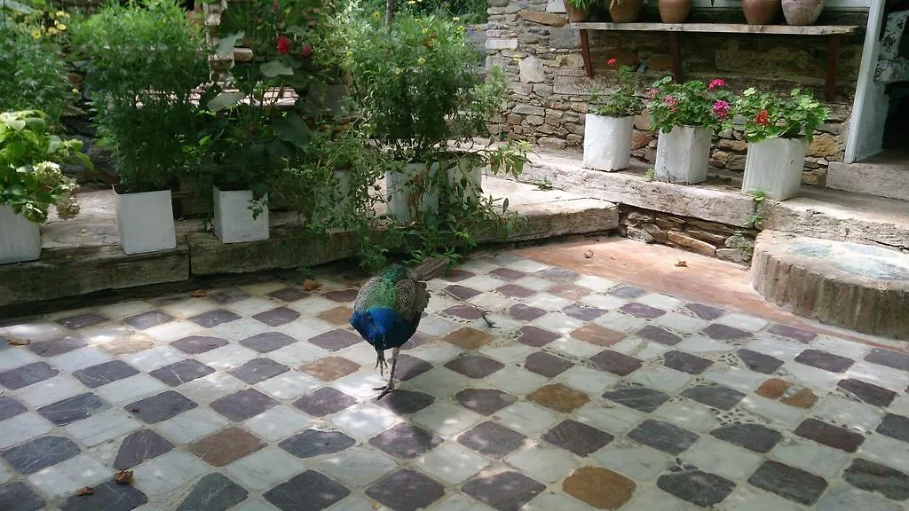 סלצ'וק Nisanyan Hotel